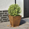 vidaXL - Plantenbak - 30x30x30 - cm - weervast - staal