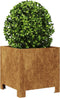 vidaXL - Plantenbak - 30x30x30 - cm - weervast - staal