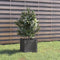 vidaXL - Plantenbak - 31x31x31 - cm - massief - grenenhout - grijs