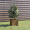 vidaXL - Plantenbak - 31x31x31 - cm - massief - grenenhout - honingbruin