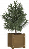 vidaXL - Plantenbak - 31x31x31 - cm - massief - grenenhout - honingbruin
