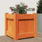 vidaXL - Plantenbak - 31x31x31 - cm - massief - grenenhout - wasbruin
