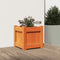 vidaXL - Plantenbak - 31x31x31 - cm - massief - grenenhout - wasbruin