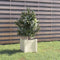 vidaXL - Plantenbak - 31x31x31 - cm - massief - grenenhout - wit