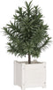vidaXL - Plantenbak - 31x31x31 - cm - massief - grenenhout - wit