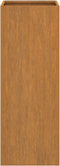 vidaXL - Plantenbak - 32x29x75 - cm - cortenstaal