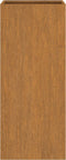 vidaXL - Plantenbak - 32x29x75 - cm - cortenstaal