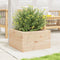 vidaXL - Plantenbak - 40x40x23 - cm - massief - grenenhout