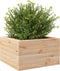 vidaXL - Plantenbak - 40x40x23 - cm - massief - grenenhout