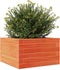 vidaXL - Plantenbak - 40x40x23 - cm - massief - grenenhout - wasbruin