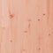 vidaXL - Plantenbak - 40x40x39 - cm - massief - douglashout