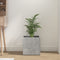 vidaXL - Plantenbak - 40x40x40 - cm - bewerkt - hout - betongrijs