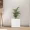 vidaXL - Plantenbak - 40x40x40 - cm - bewerkt - hout - wit