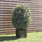 vidaXL - Plantenbak - 40x40x40 - cm - massief - grenenhout - grijs