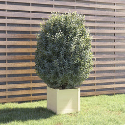 vidaXL - Plantenbak - 40x40x40 - cm - massief - grenenhout - wit