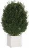 vidaXL - Plantenbak - 40x40x40 - cm - massief - grenenhout - wit