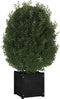 vidaXL - Plantenbak - 40x40x40 - cm - massief - grenenhout - zwart