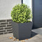 vidaXL - Plantenbak - 40x40x40 - cm - staal - antracietkleurig