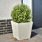 vidaXL - Plantenbak - 40x40x40 - cm - staal - wit