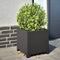 vidaXL - Plantenbak - 40x40x40 - cm - staal - zwart