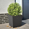 vidaXL - Plantenbak - 40x40x40 - cm - staal - zwart