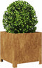 vidaXL - Plantenbak - 40x40x40 - cm - weervast - staal