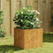 vidaXL - Plantenbak - 40x41x40 - cm - cortenstaal