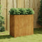 vidaXL - Plantenbak - 40x80x80 - cm - cortenstaal