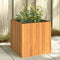 vidaXL - Plantenbak - 45x45x45 - cm - massief - acaciahout