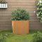 vidaXL - Plantenbak - 49x47x46 - cm - cortenstaal