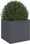 vidaXL - Plantenbak - 49x47x46 - cm - staal - antracietkleurig
