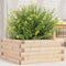 vidaXL - Plantenbak - 50x50x23 - cm - massief - grenenhout