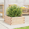vidaXL - Plantenbak - 50x50x23 - cm - massief - grenenhout