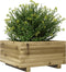 vidaXL - Plantenbak - 50x50x26,5 - cm - geïmpregneerd - grenenhout