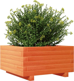 vidaXL - Plantenbak - 50x50x26,5 - cm - massief - grenenhout - wasbruin