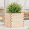 vidaXL - Plantenbak - 50x50x45,5 - cm - massief - grenenhout