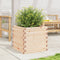 vidaXL - Plantenbak - 50x50x45,5 - cm - massief - grenenhout