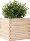 vidaXL - Plantenbak - 50x50x45,5 - cm - massief - grenenhout
