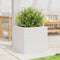 vidaXL - Plantenbak - 50x50x45,5 - cm - massief - grenenhout - wit