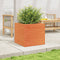 vidaXL - Plantenbak - 50x50x46 - cm - massief - grenenhout - wasbruin