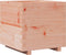 vidaXL - Plantenbak - 50x50x49,5 - cm - massief - douglashout