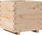 vidaXL - Plantenbak - 50x50x49,5 - cm - massief - grenenhout