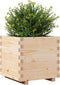 vidaXL - Plantenbak - 50x50x49,5 - cm - massief - grenenhout