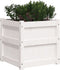 vidaXL - Plantenbak - 50x50x50 - cm - massief - grenenhout - wit