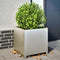 vidaXL - Plantenbak - 50x50x50 - cm - roestvrij - staal