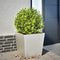 vidaXL - Plantenbak - 50x50x50 - cm - roestvrij - staal