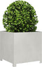 vidaXL - Plantenbak - 50x50x50 - cm - roestvrij - staal