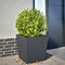 vidaXL - Plantenbak - 50x50x50 - cm - staal - antracietkleurig