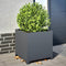 vidaXL - Plantenbak - 50x50x50 - cm - staal - antracietkleurig