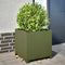 vidaXL - Plantenbak - 50x50x50 - cm - staal - olijfgroen